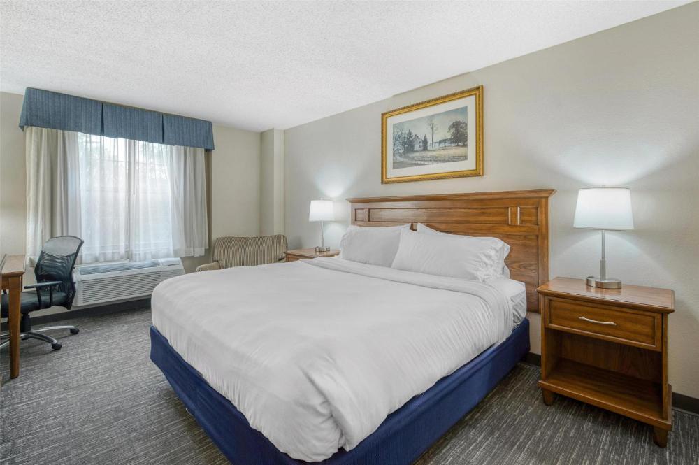 Kitchenette Suite - 1 King Bed interior